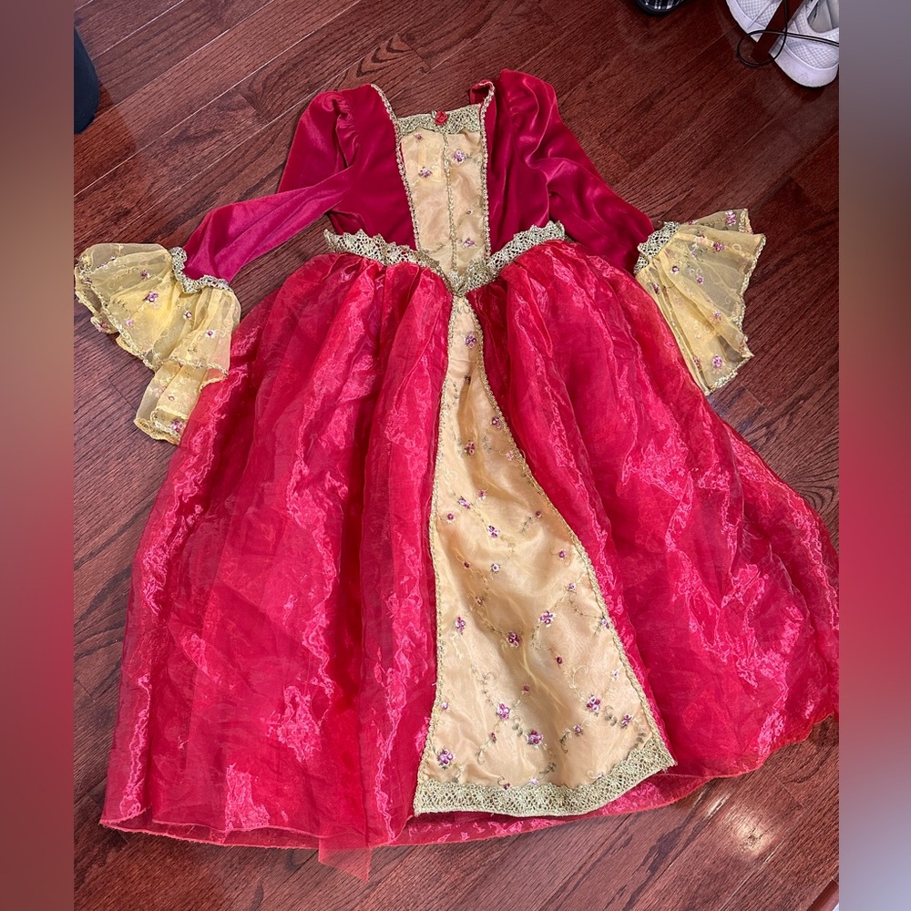 Disney Red and Gold Princess Costume